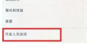 荣耀magic2如何将开发者选项开启 具体操作步骤