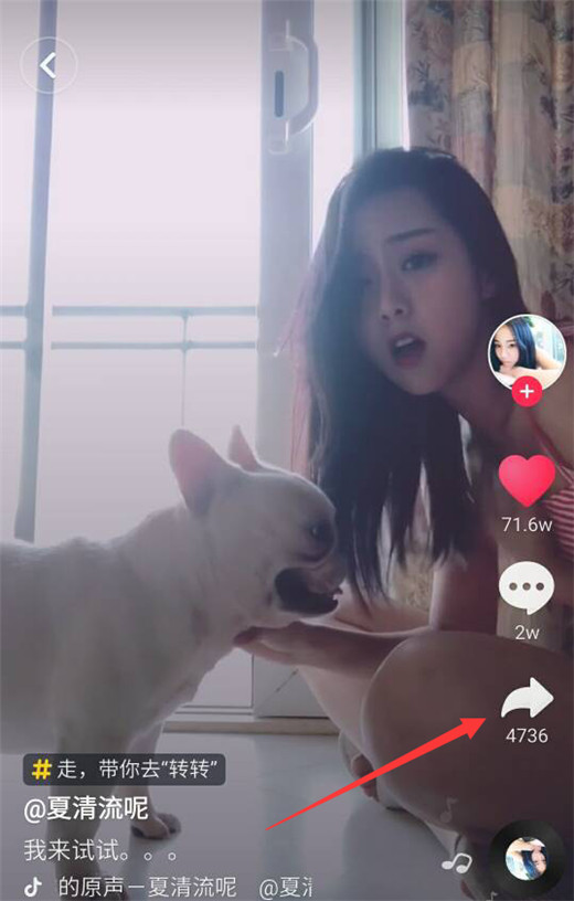 360n7pro怎么设置动态壁纸 具体操作方法