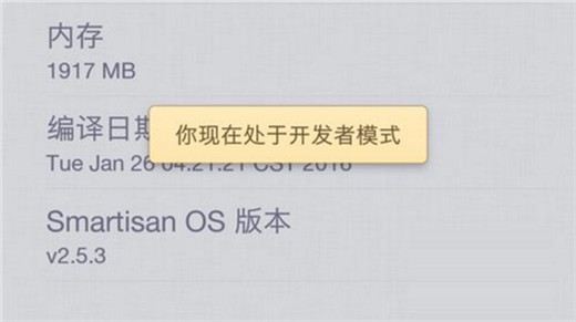 坚果pro2s手机设置开发者选项详细操作流程