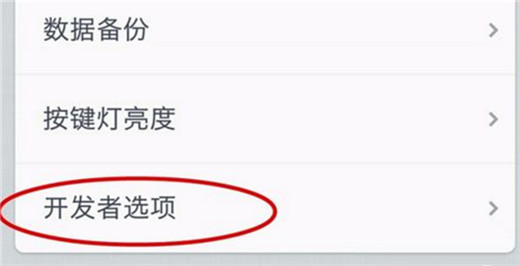 坚果pro2s手机设置开发者选项详细操作流程
