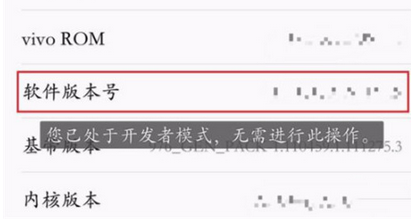 vivoz3手机开启usb调试的详细操作步骤