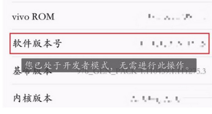 vivoz3手机将开发者选项打开的具体操作步骤