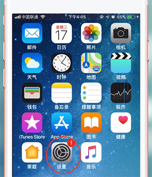 苹果手机中查看本机号码具体操作方法介绍