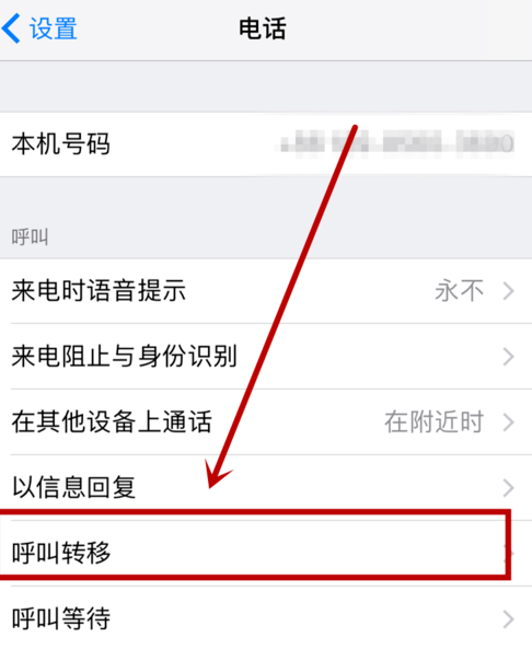 苹果手机怎么呼叫转移 设置呼叫转移的办法
