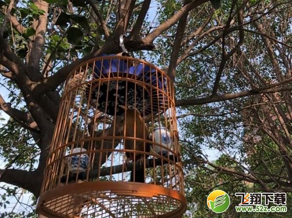 华为P20 Pro和苹果x哪个好_华为P20 Pro和iPhone X评测对比