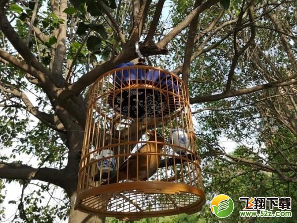 华为P20 Pro和苹果x哪个好_华为P20 Pro和iPhone X评测对比