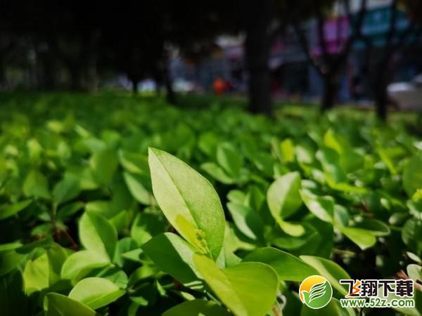 华为P20 Pro和苹果x哪个好_华为P20 Pro和iPhone X评测对比