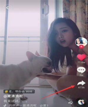 小米max3怎么设置动态壁纸?动态壁纸设置教程分享