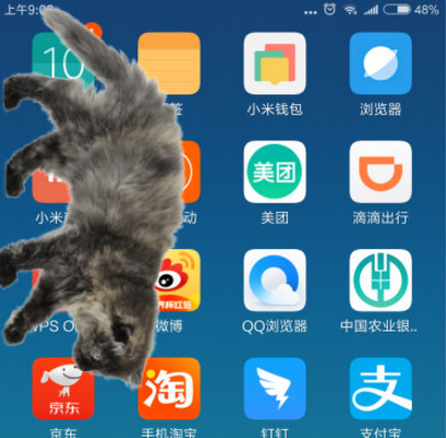 在手机屏幕上养宠物的软件叫什么?手机屏幕上怎么养宠物?