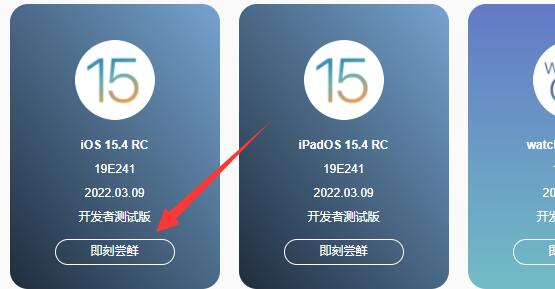 ios15.4rc版下载教程
