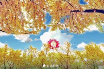 vivo漫画滤镜怎么弄 动漫滤镜制作教程