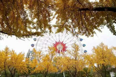 vivo漫画滤镜怎么弄 动漫滤镜制作教程