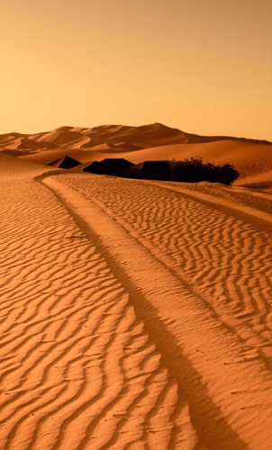 iOS12官方壁纸原图高清分享大全 这壁纸美到哭