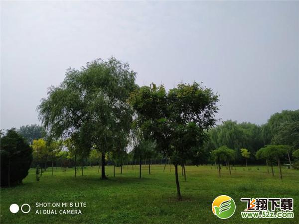 小米8青春版拍照像素怎么样_小米8青春版拍照效果测评小米8青春版拍照像素怎么样_小米8青春版拍照效果测评