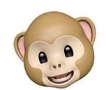 苹果手机拟我表情有哪些 iOS 12拟表情大全