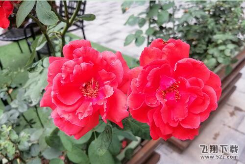 华为麦芒7拍照像素怎么样_华为麦芒7拍照效果测评华为麦芒7拍照像素怎么样_华为麦芒7拍照效果测评