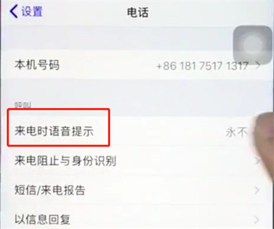 ios12来电语音显示在哪设置?开启步骤分享