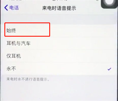 ios12来电语音显示在哪设置?开启步骤分享