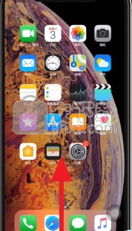 iPhone XR关闭后台应用程序的方法