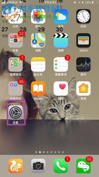 解决苹果手机home键失灵的操作方法