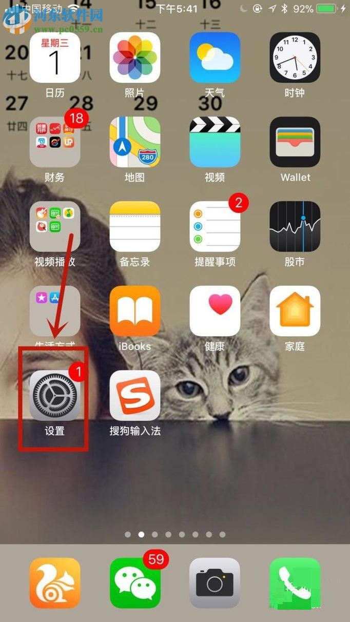 苹果iPhone6S 设置4G网络的方法