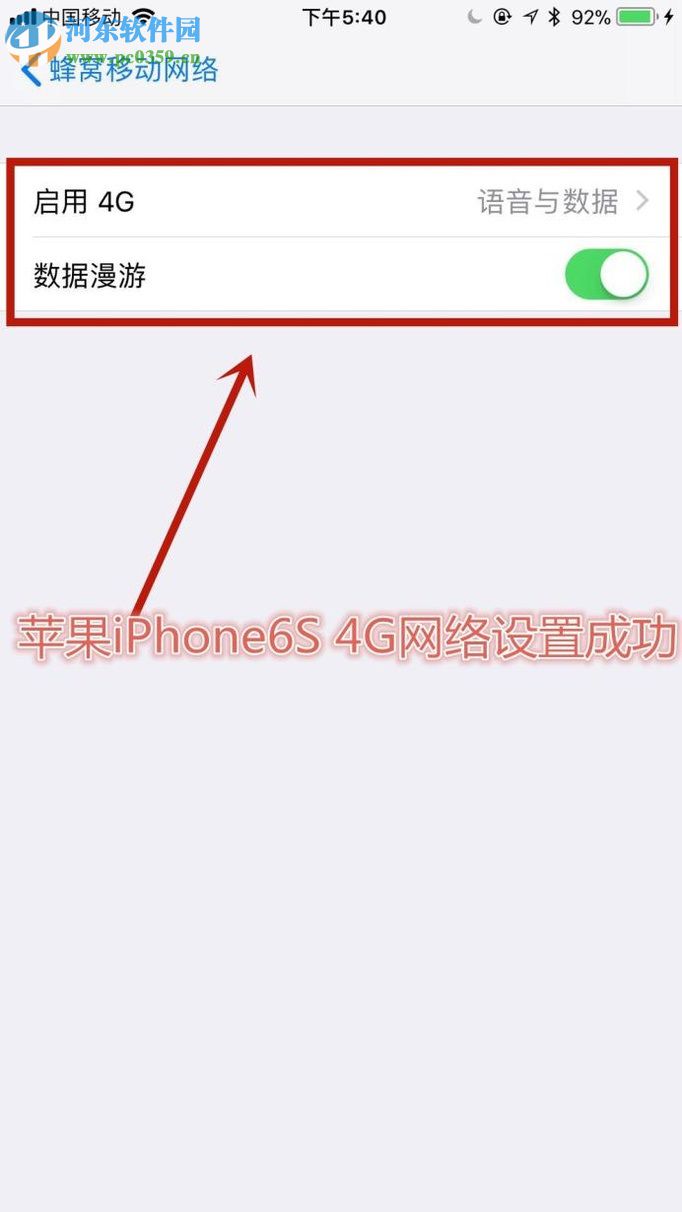 苹果iPhone6S 设置4G网络的方法