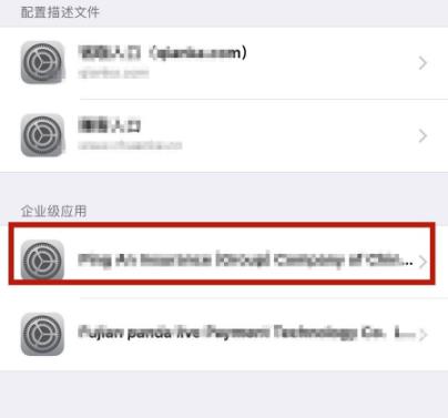 ios14软件信任设置方法