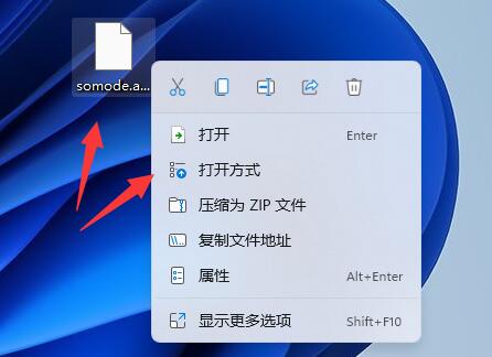 手机aspx文件打开教程