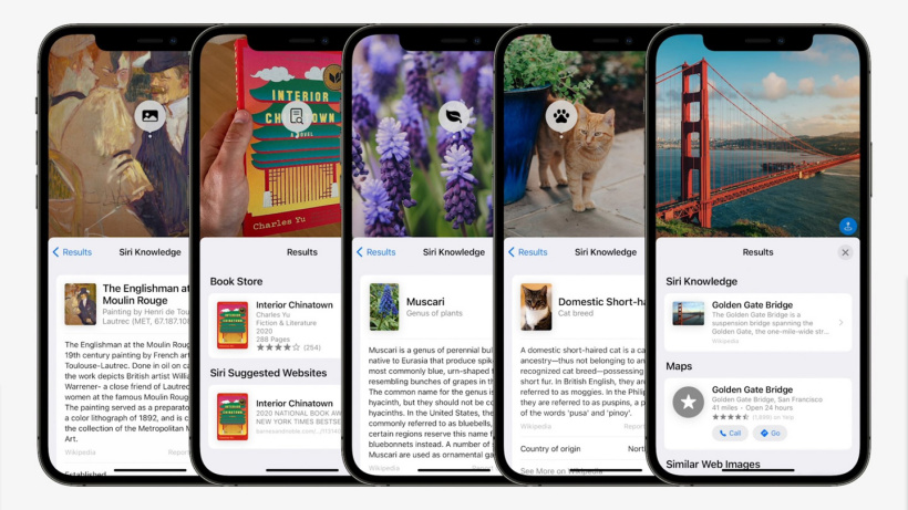 苹果ios15文字识别介绍及使用方法