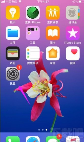 苹果手机开启FaceTime通话功能的方法