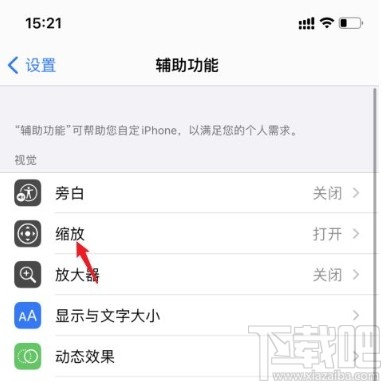 苹果手机关闭缩放功能的方法