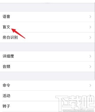 苹果手机设置盲文模式的方法