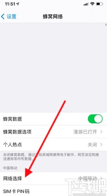 苹果手机开启网络自动选择的方法