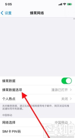 iPhone11关闭数据漫游的方法