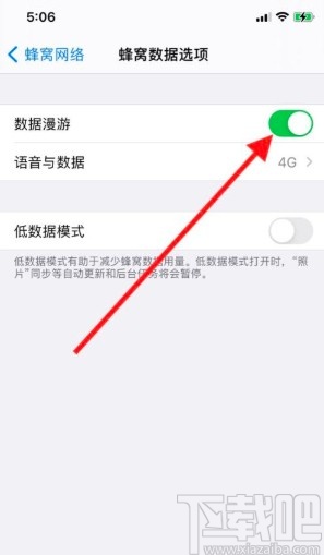 iPhone11关闭数据漫游的方法