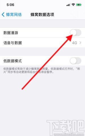 iPhone11关闭数据漫游的方法