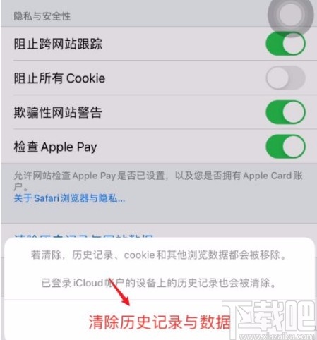 苹果手机清除Safari浏览器历史记录的方法