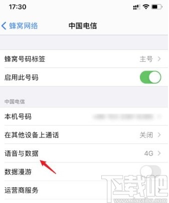 苹果手机关闭volte功能的方法