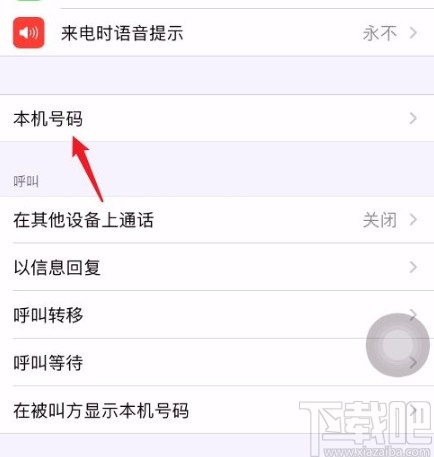 iPhone11查看本机号码的方法