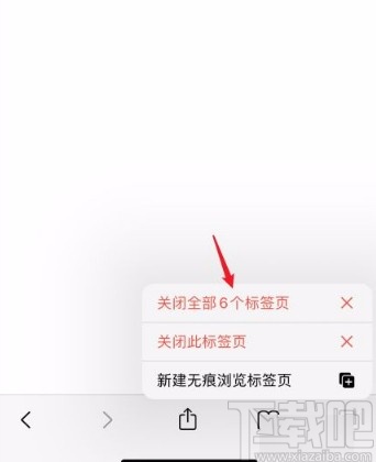苹果手机关闭Safari浏览器全部标签的方法