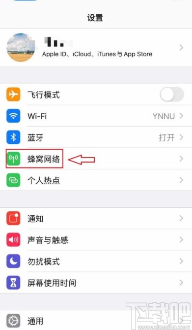 苹果手机打开VoLTE功能的方法步骤