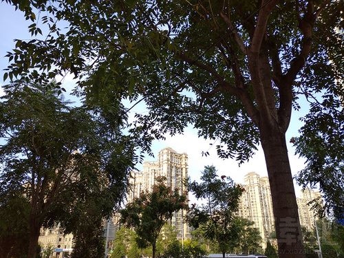 Redmi 8值得入手吗？Redmi 8手机全面评测