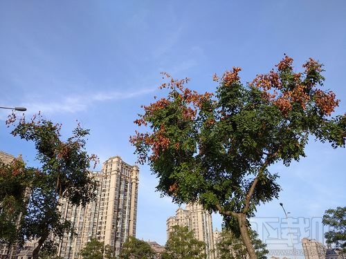 Redmi 8值得入手吗？Redmi 8手机全面评测