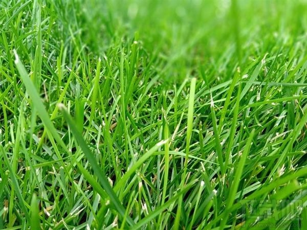 诺基亚X5怎么样，诺基亚X5配置参数爆光