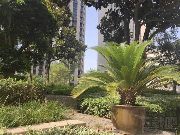 vivoNEX怎么样，好不好，值得买吗