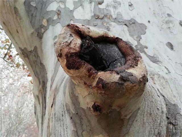 华为畅享7S怎么样？华为畅享7S值得购买吗？