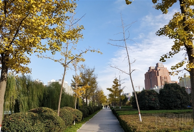 一加5T值得买吗？一加5T手机全面评测