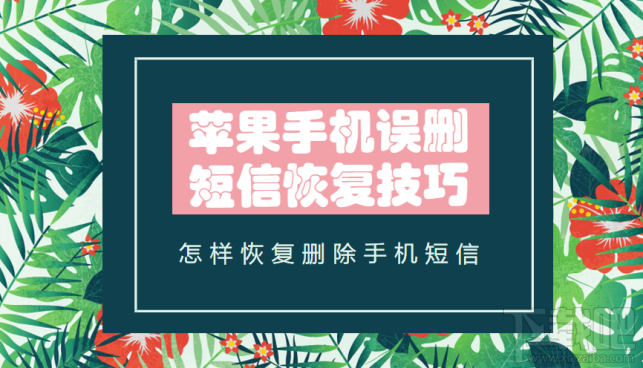 怎么恢复删除手机短信？苹果手机误删短信恢复技巧