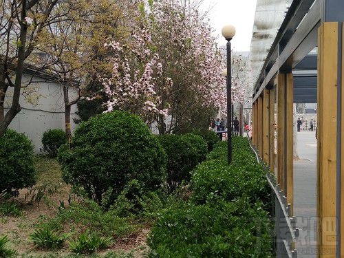 努比亚Z17mini拍照怎么样?努比亚Z17mini拍照性能介绍