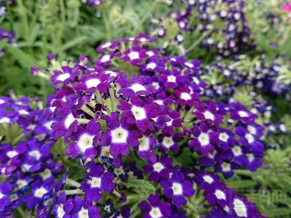 索尼Xperia XZs怎么样？值得买吗？